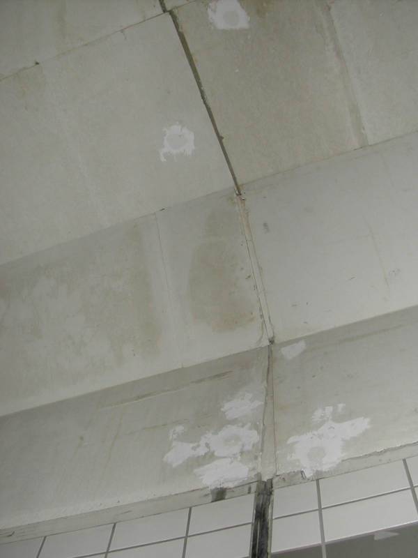 DSCN1758.jpg