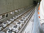 IMG_0183.jpg