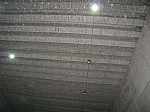 IMG_0197.jpg