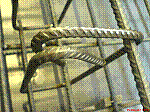 DSC01375.jpg DSC01375.jpg