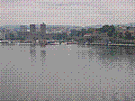 IMG_8270.JPG IMG_8270.JPG