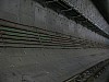 IMG_4323.jpg