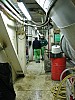 IMG_4333.jpg