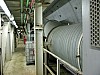IMG_4335.jpg