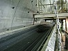 IMG_4336.jpg
