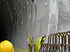 IMG_4384.jpg