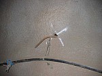 IMG_1732.jpg