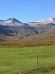 IMG_1749.jpg