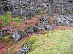 IMG_1874.jpg