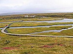 IMG_1876.jpg
