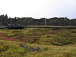 IMG_1879.jpg