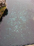 IMG_1881.jpg