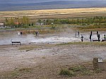 IMG_1900.jpg
