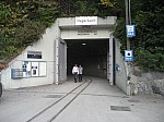 IMG_0052.jpg