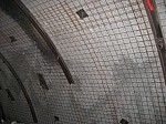 IMG_0084.jpg